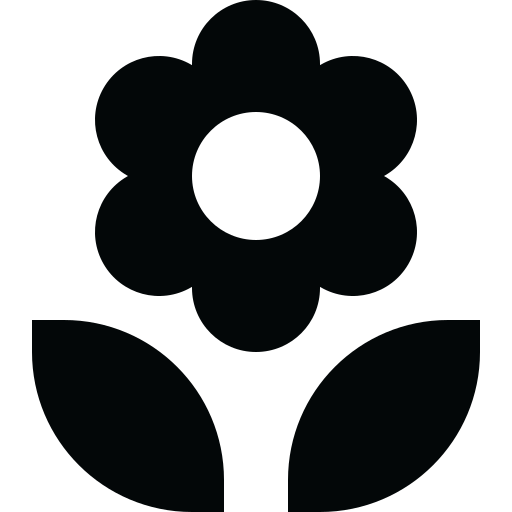 Hospice Support & EOL Doula